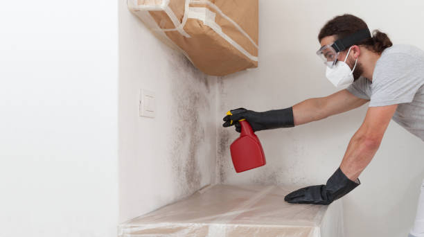 Professional Crawl Space Mold Removal technician working in Salix, PA