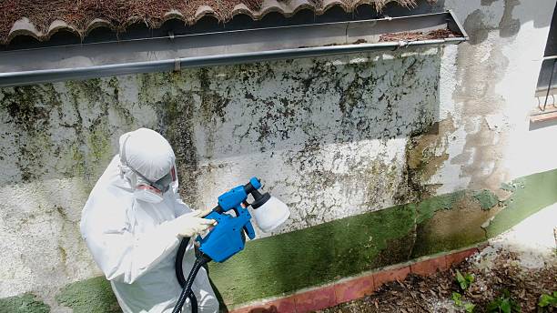 Top rated local Crawl Space Mold Removal specialists in Salix, PA